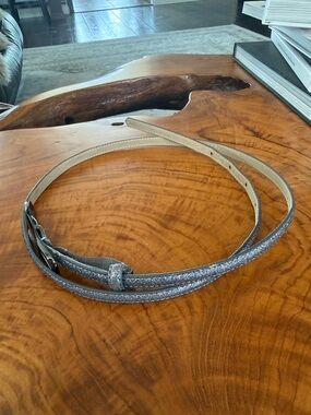 Ann Taylor Metallic Silver Skinny Belt